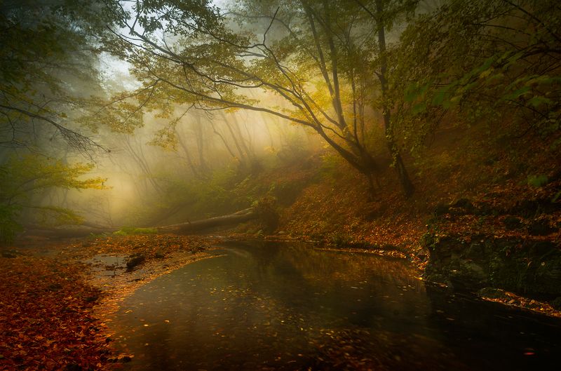 Autumn sonata фото превью