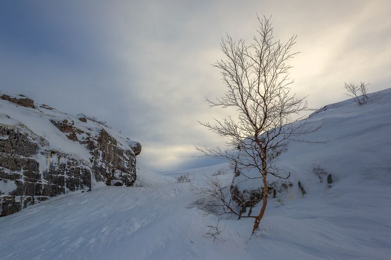 ...ветры февраля фото превью