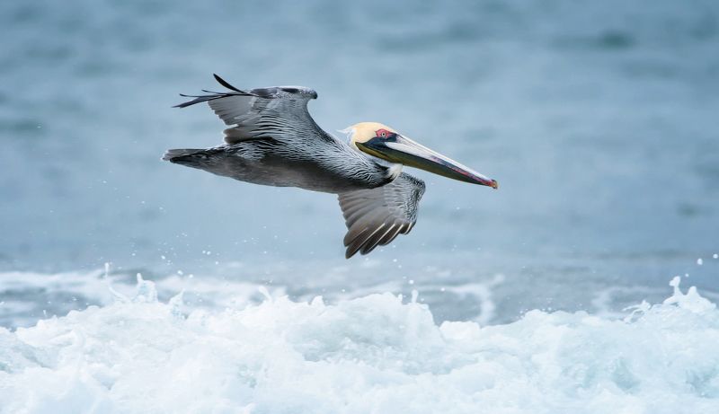 Бреющий полет фото превью