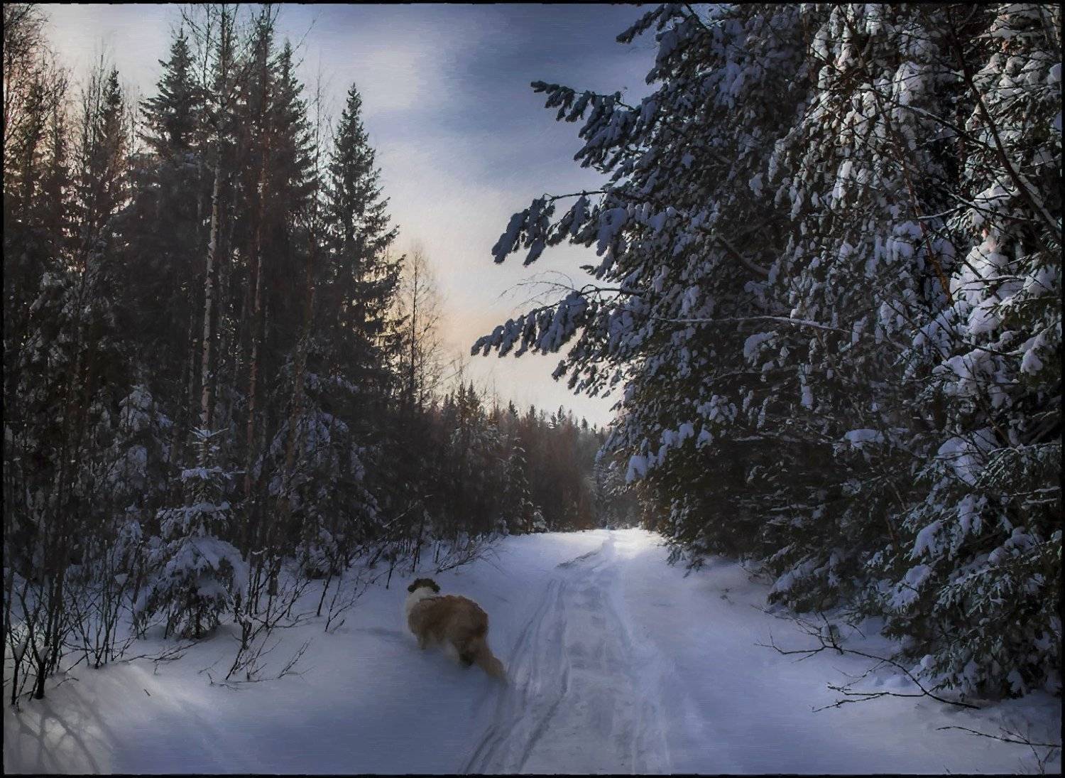, Александр  Швачко