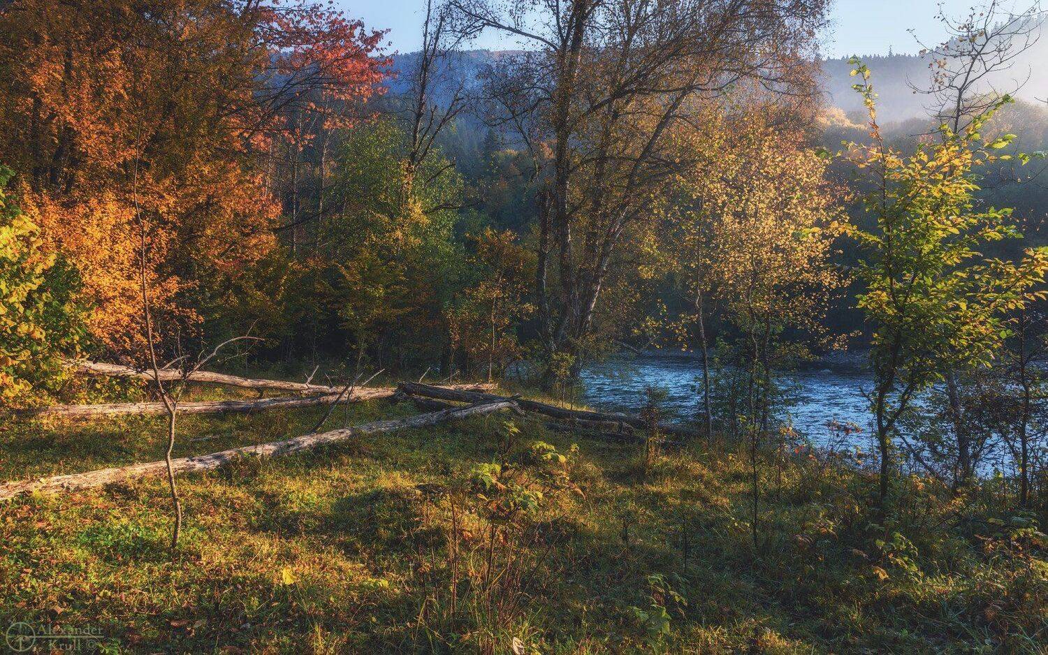 , Александр Круль