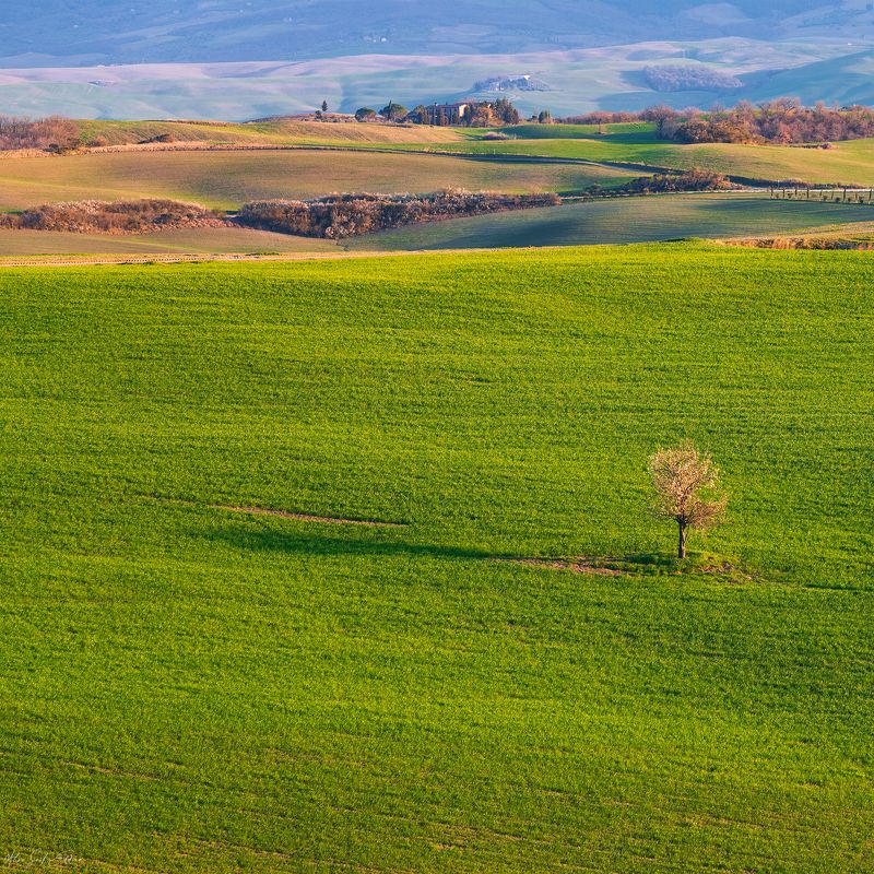 landscape, green, tuscany, italia  фото превью