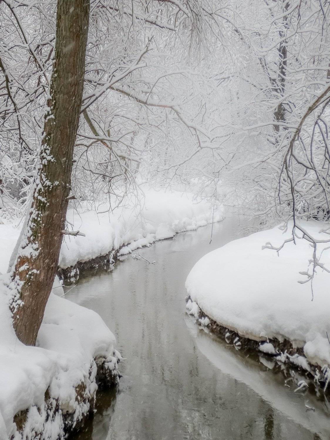 зима, winter, снег, snow, природа, nature, пейзаж, ручей, Julia Kaissa