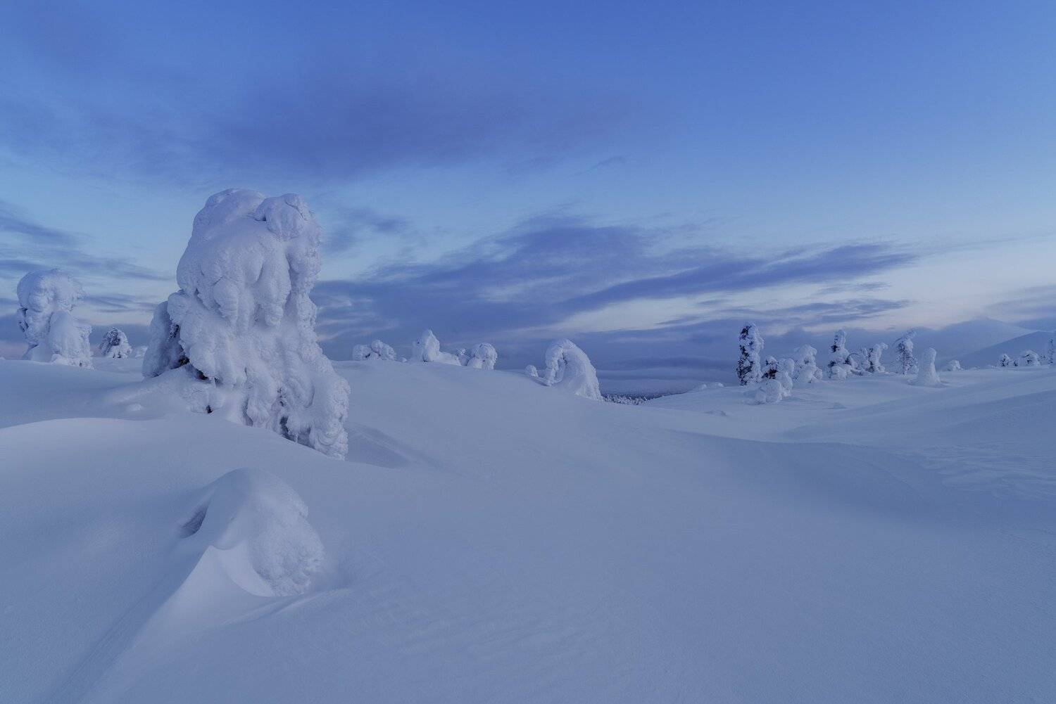 , Юлия Шумляева