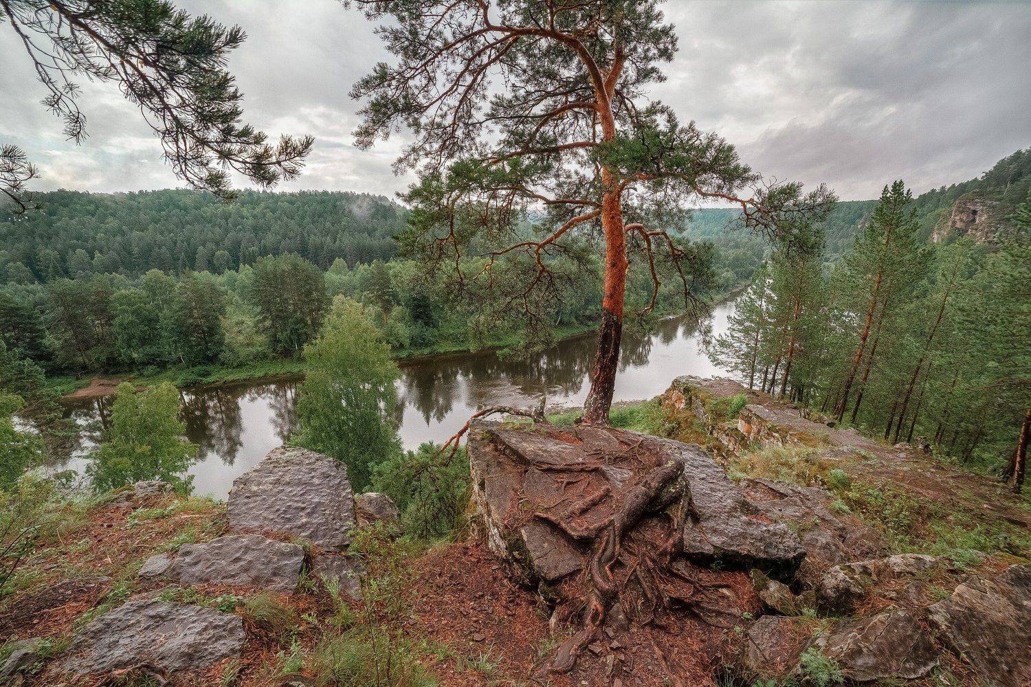 , Алексей Никитин