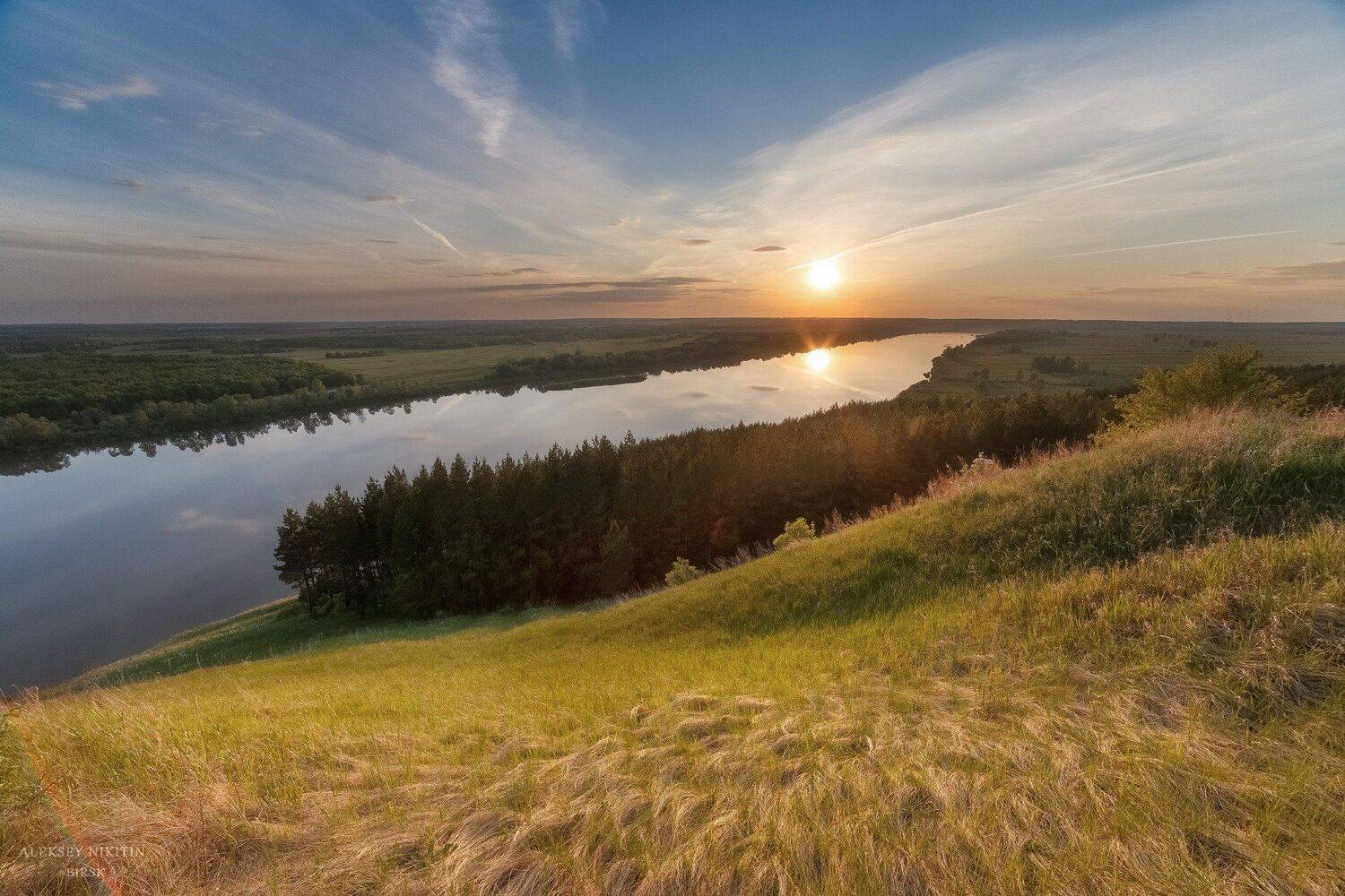 , Алексей Никитин