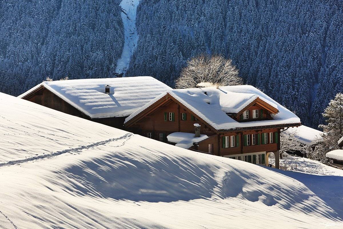 swiss, Матвеев Николай