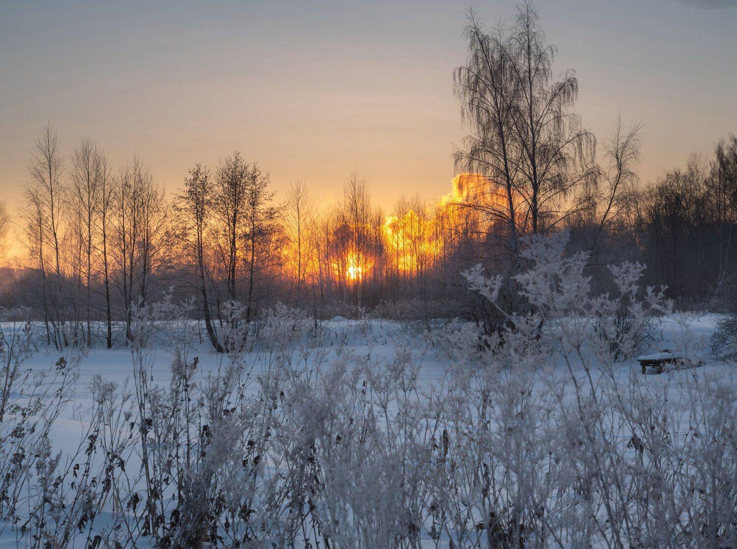 , Константин Дэм