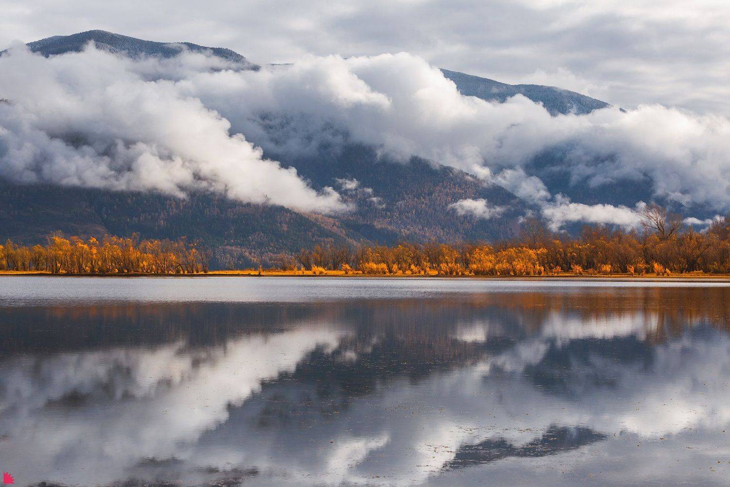 , Осипов Ёжъ Александр
