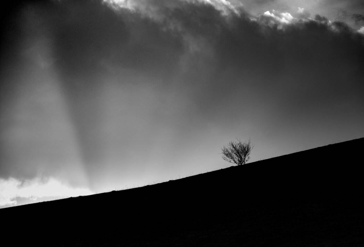 , Александр Орнатский