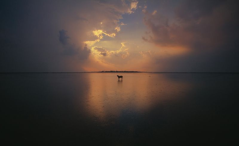 Only in the storm фото превью