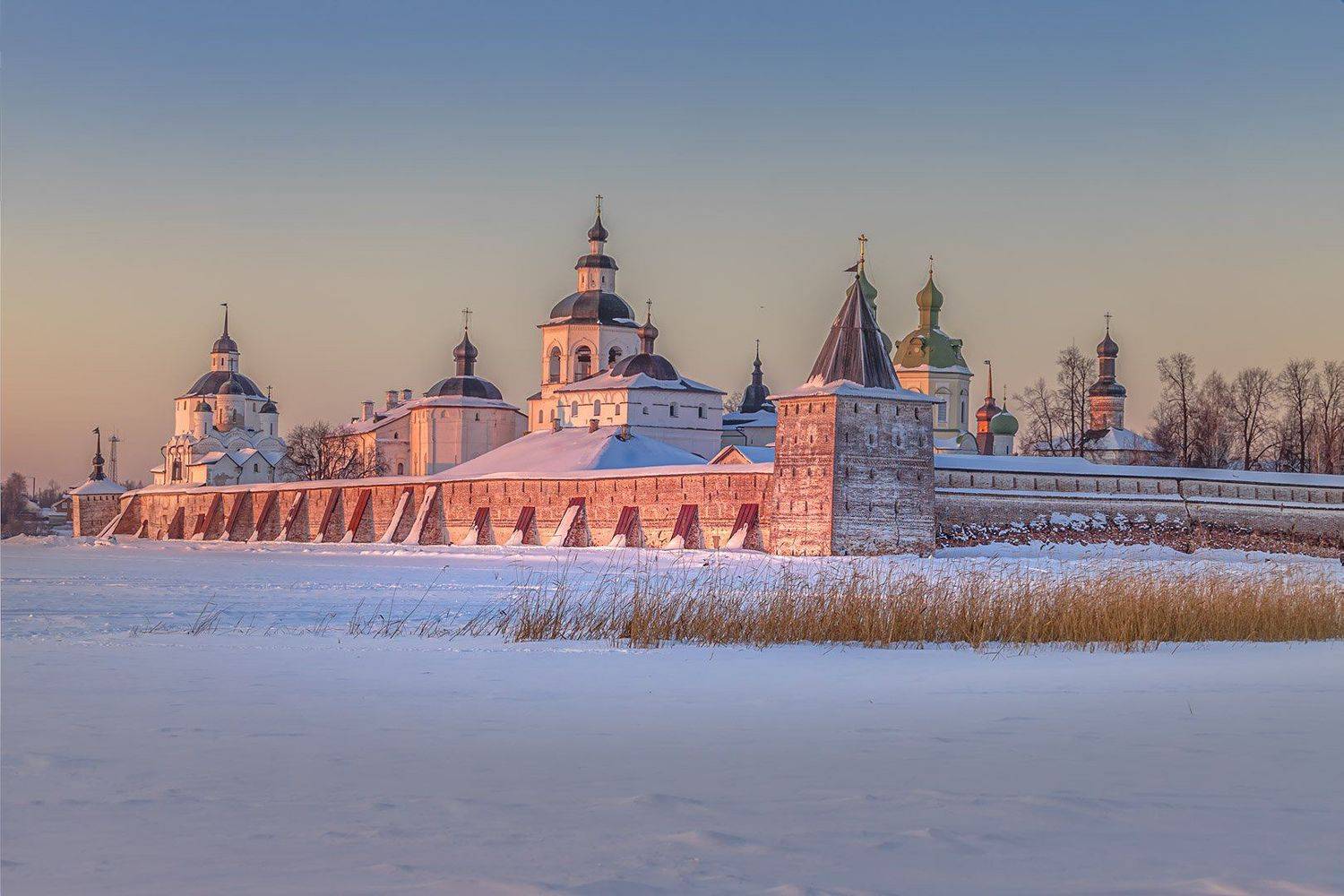 , Елена Маковоз