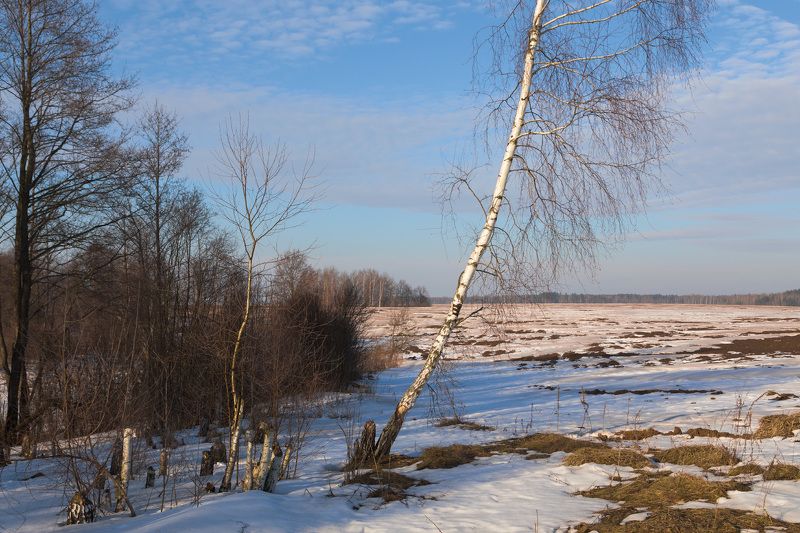 Скоро... фото превью