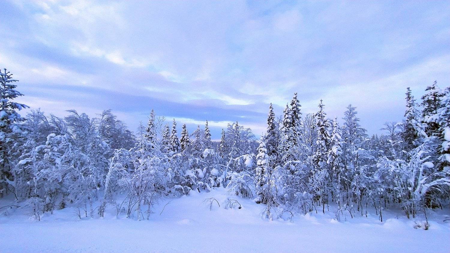 , Андрей Перешеин