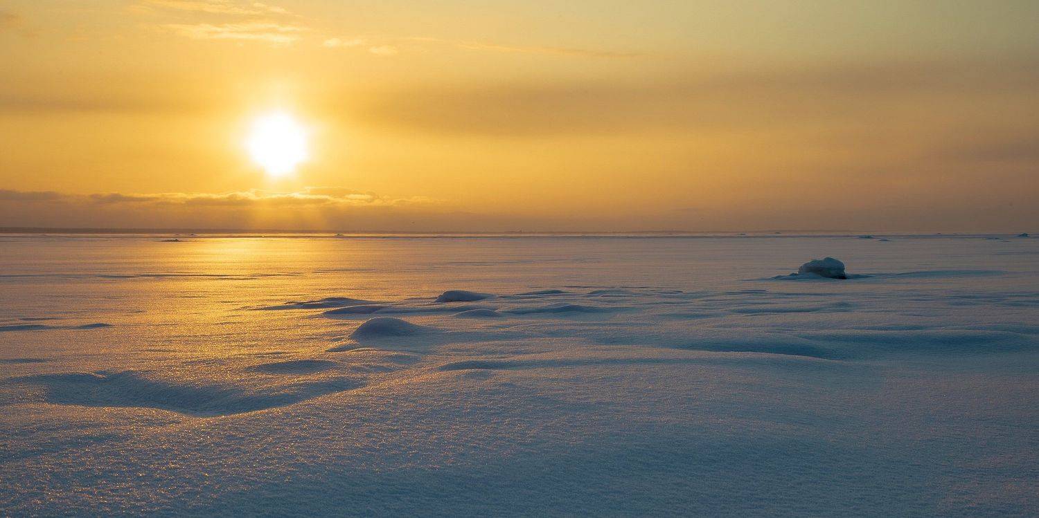 зима, вечер, берег, залив, снег, закат, Александр Игнатьев