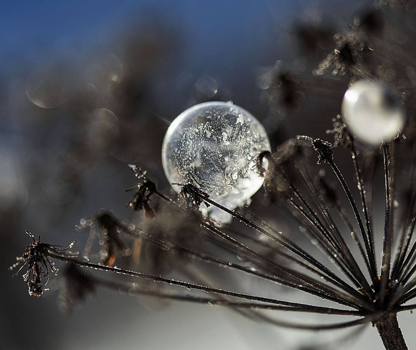 шар,лёд, узоры,зима, волшебство, sphere,orb, magic,ice, winter, macro,nature, Юлия Стукалова