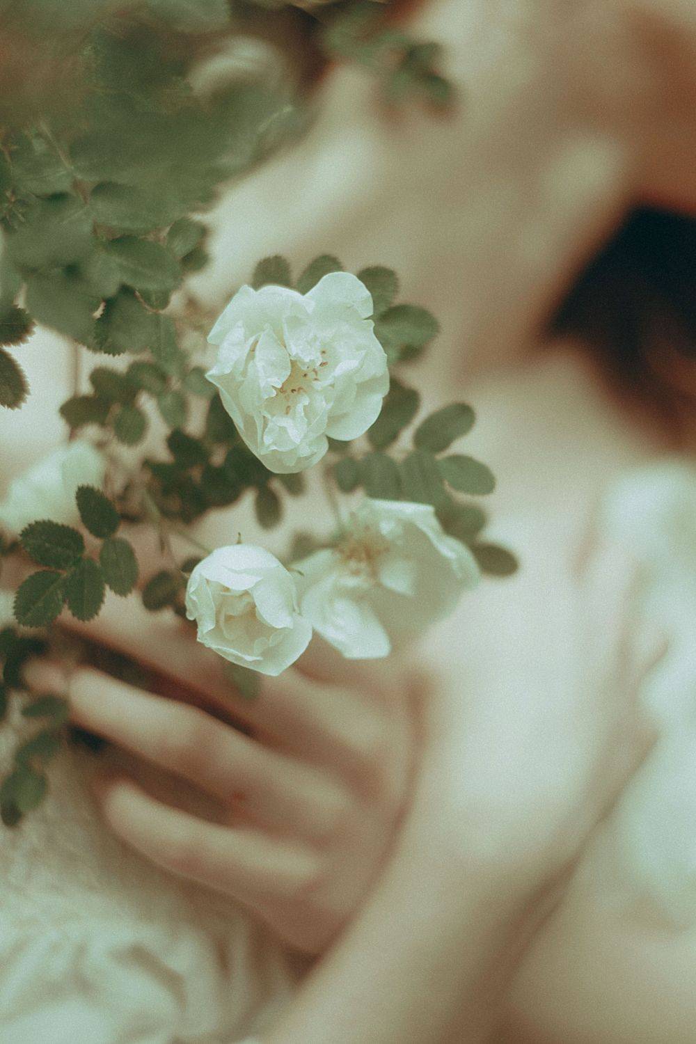 , Marie Dashkova
