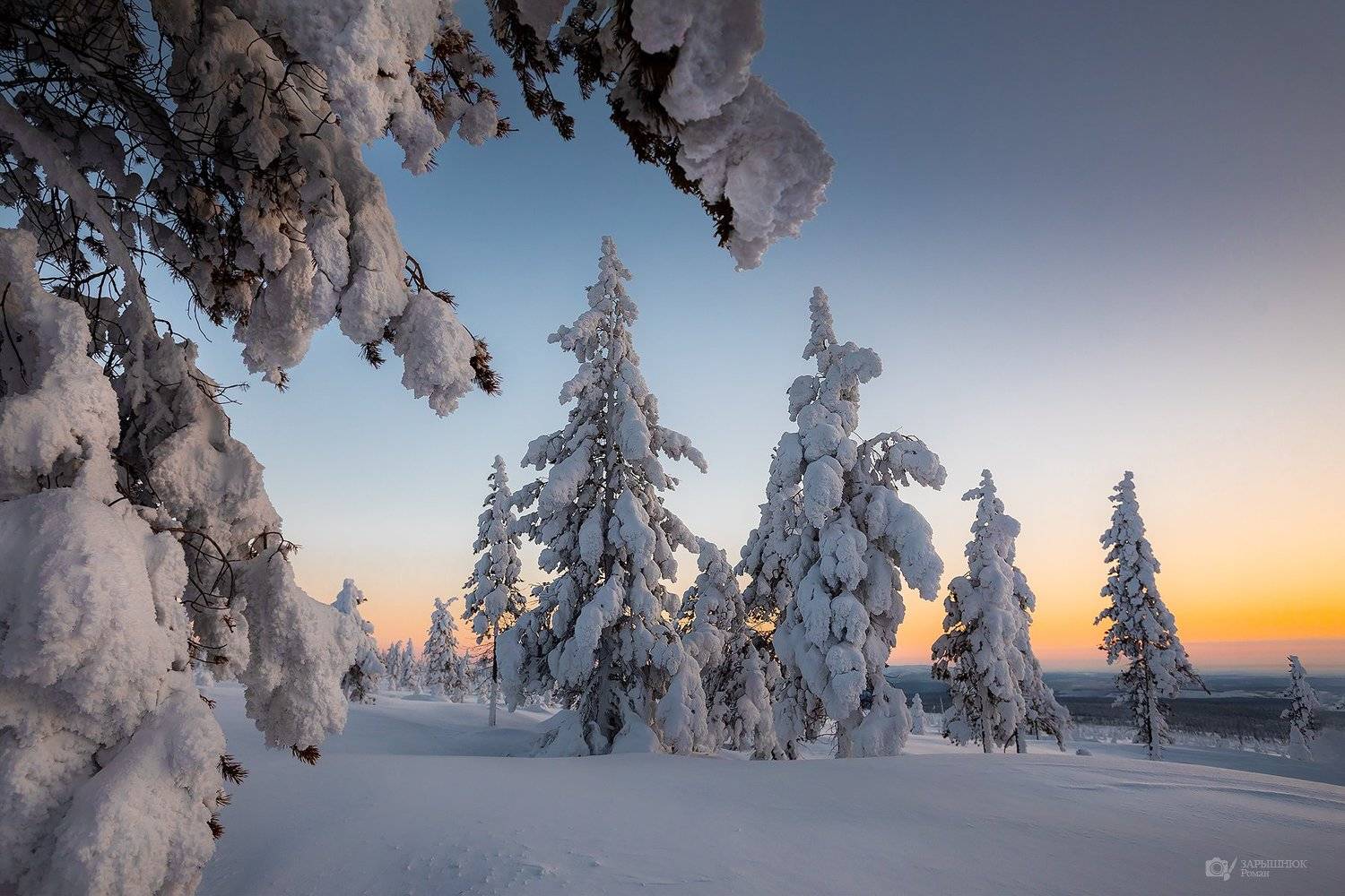 якутия, зима, закат, снег, деревья, лес, тайга, дальний восток, сибирь, мороз, Зарышнюк Роман