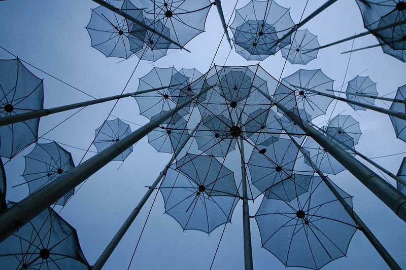 umbrella, above, up, look Umbrella Rain фото превью