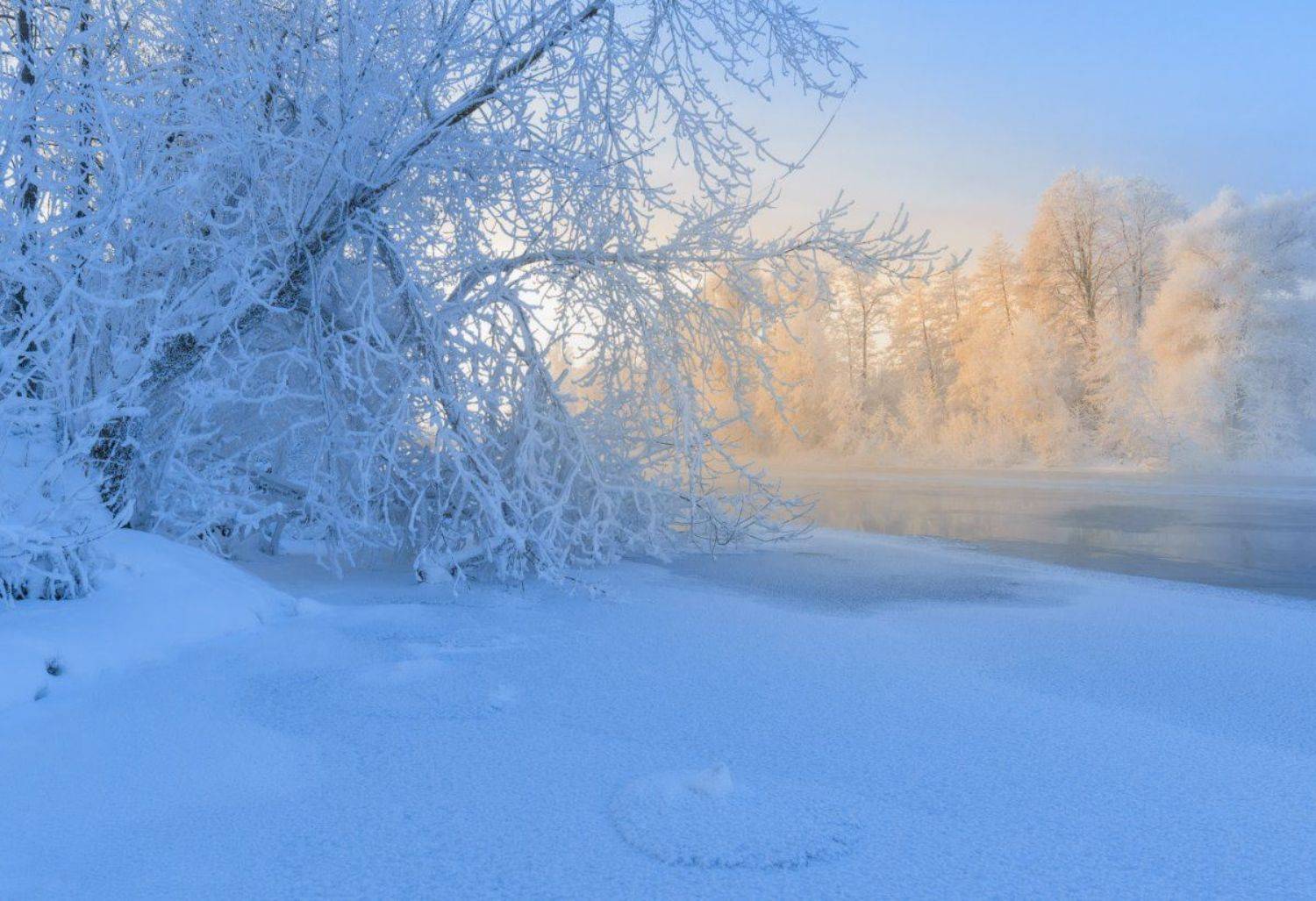 , Евгений Цап