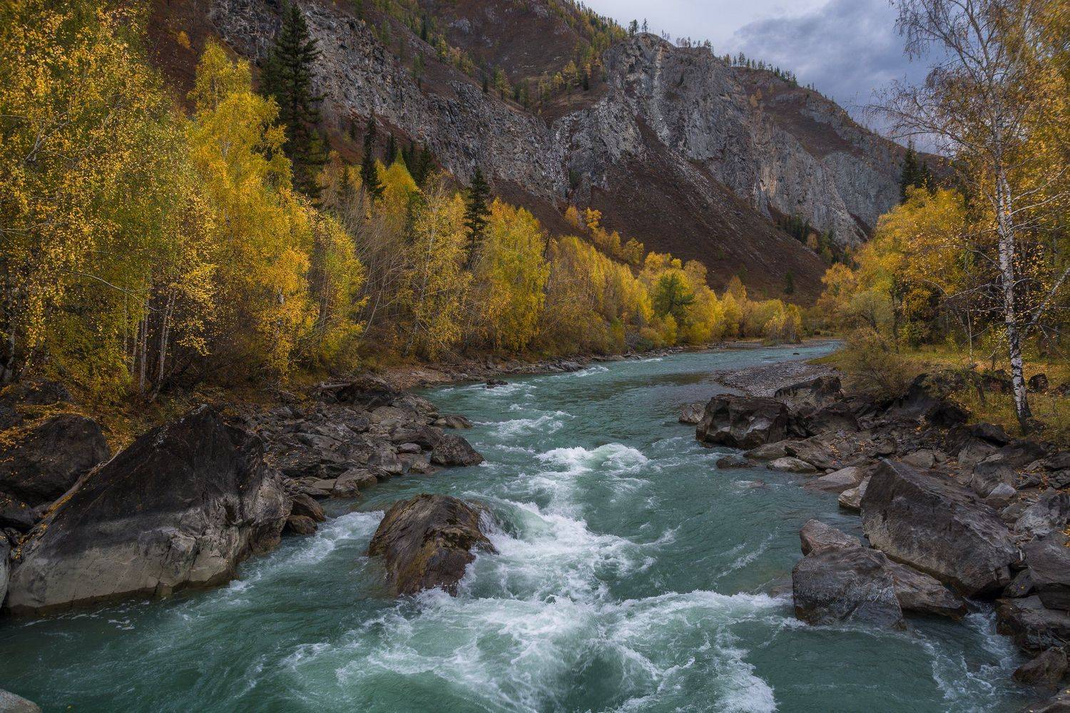 россия, горный алтай, река чуя, осень, Андрей Поляков