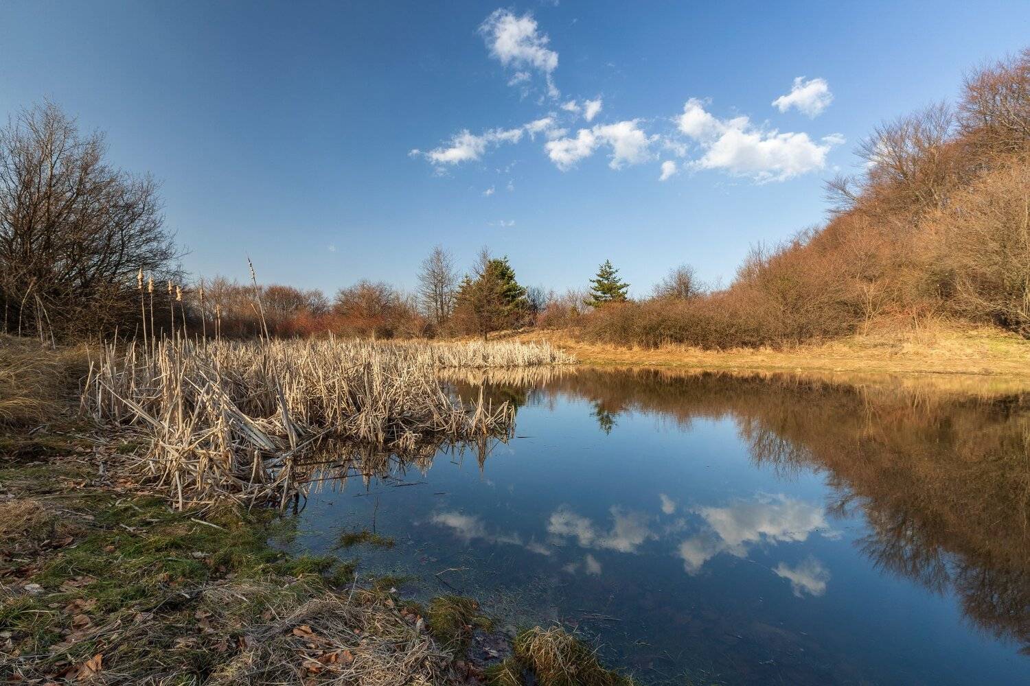 , Александър Сандев