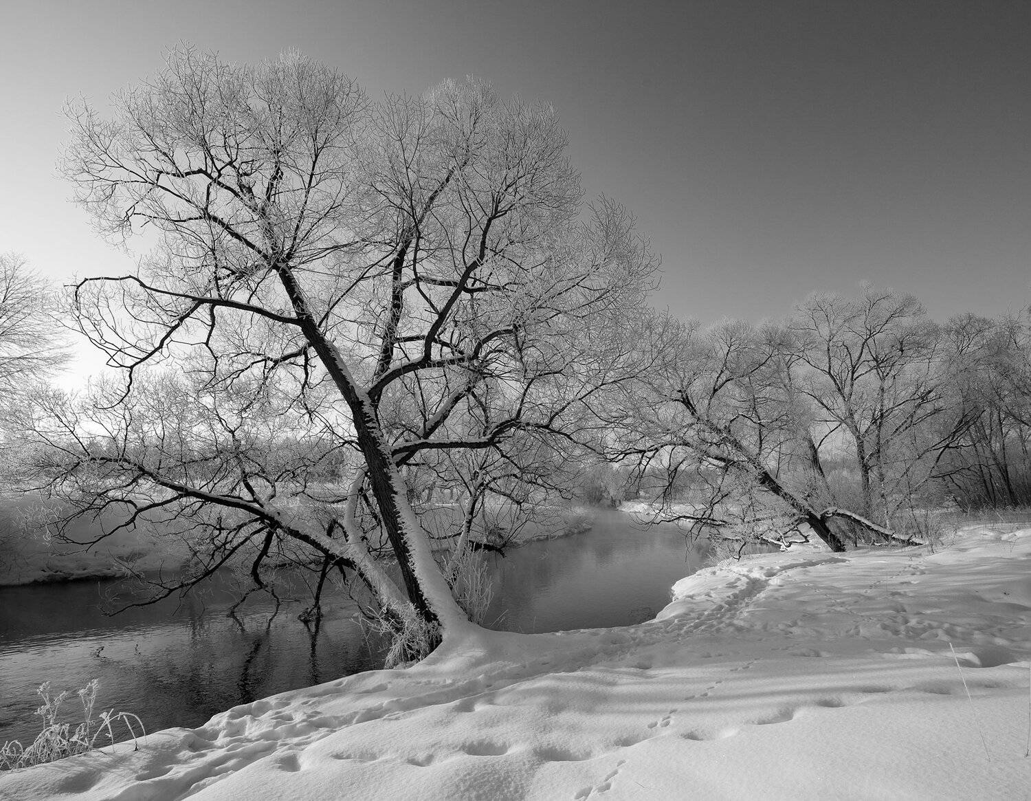 , Борис Леваков