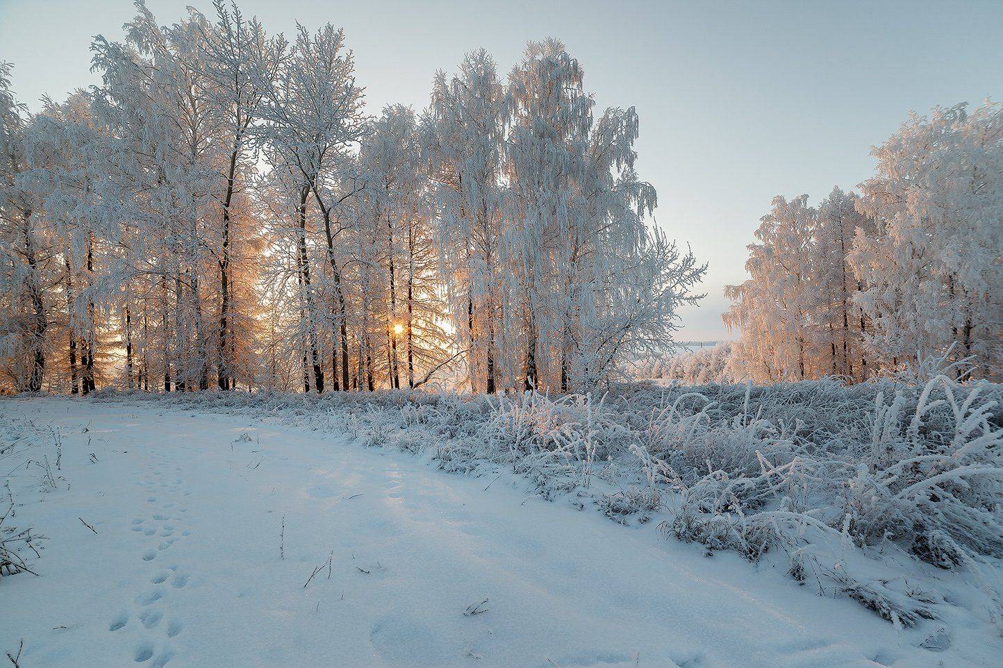 , Алексей Никитин