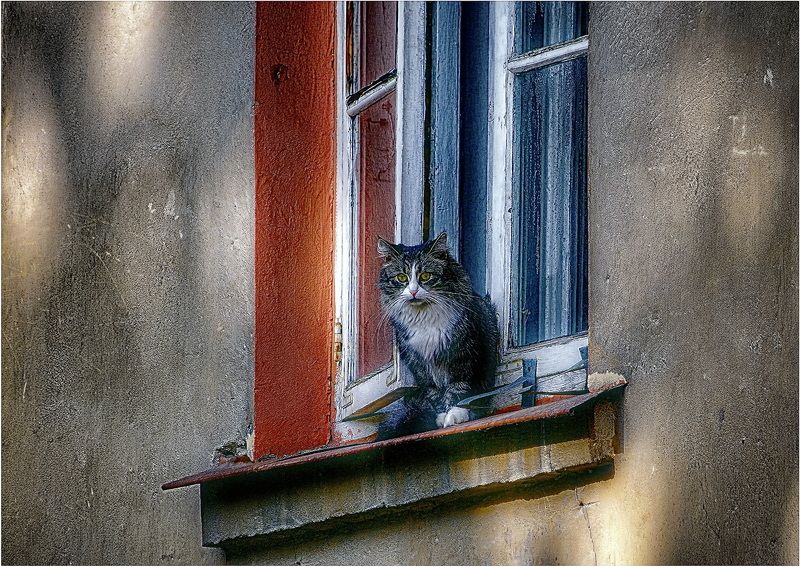 Окно. фото превью