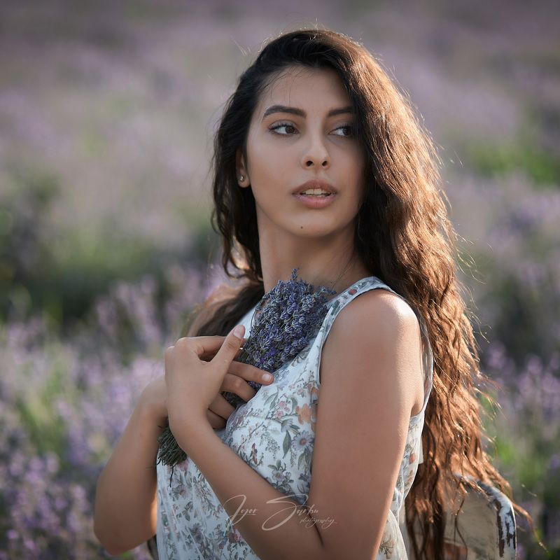 Lavender фото превью