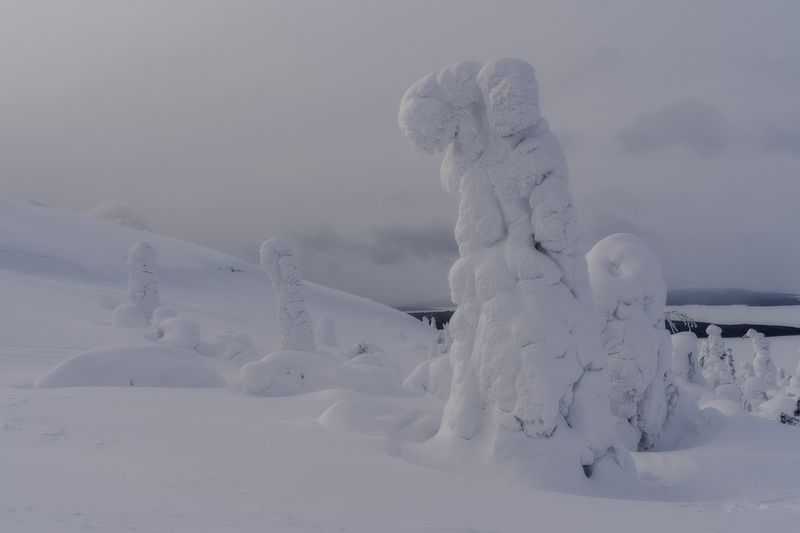 Снежные исполины фото превью