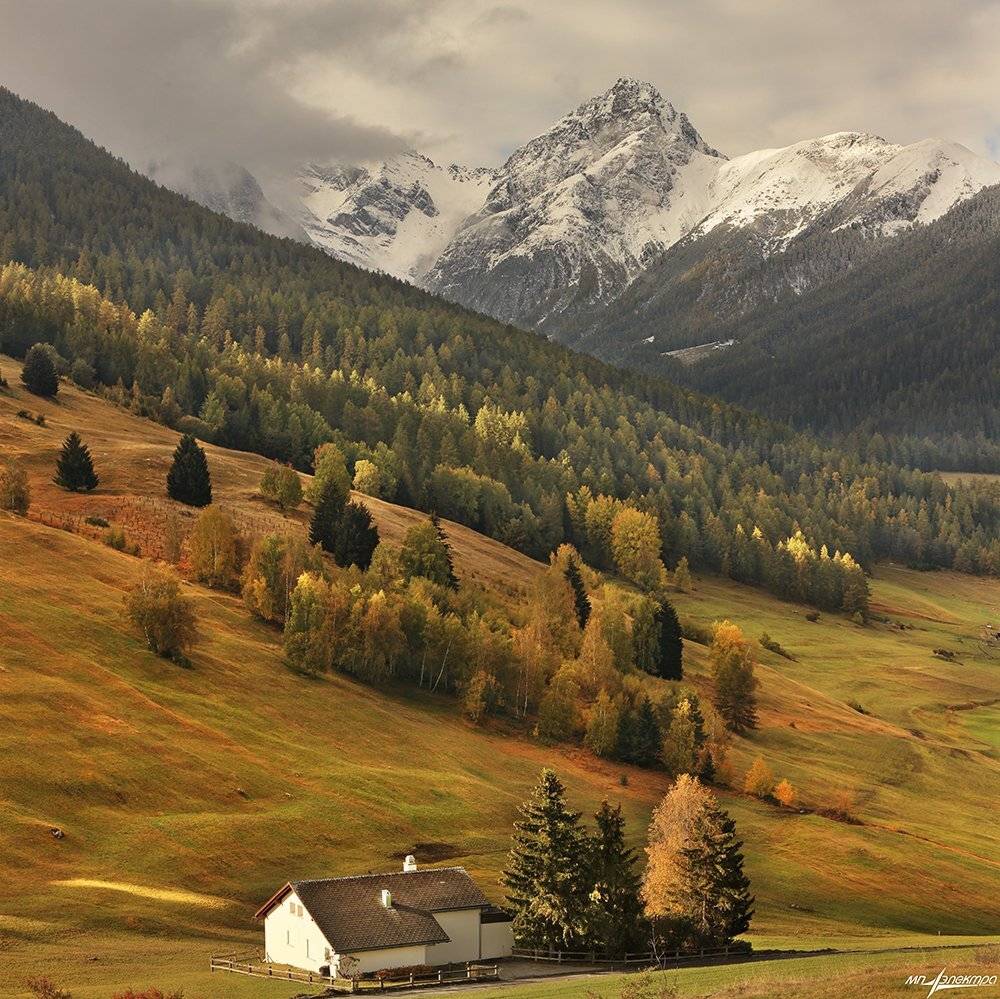 swiss, Матвеев Николай