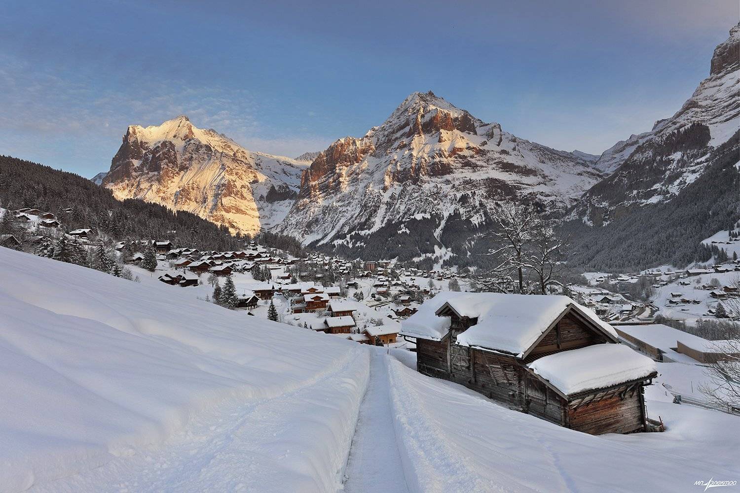 swiss, Матвеев Николай