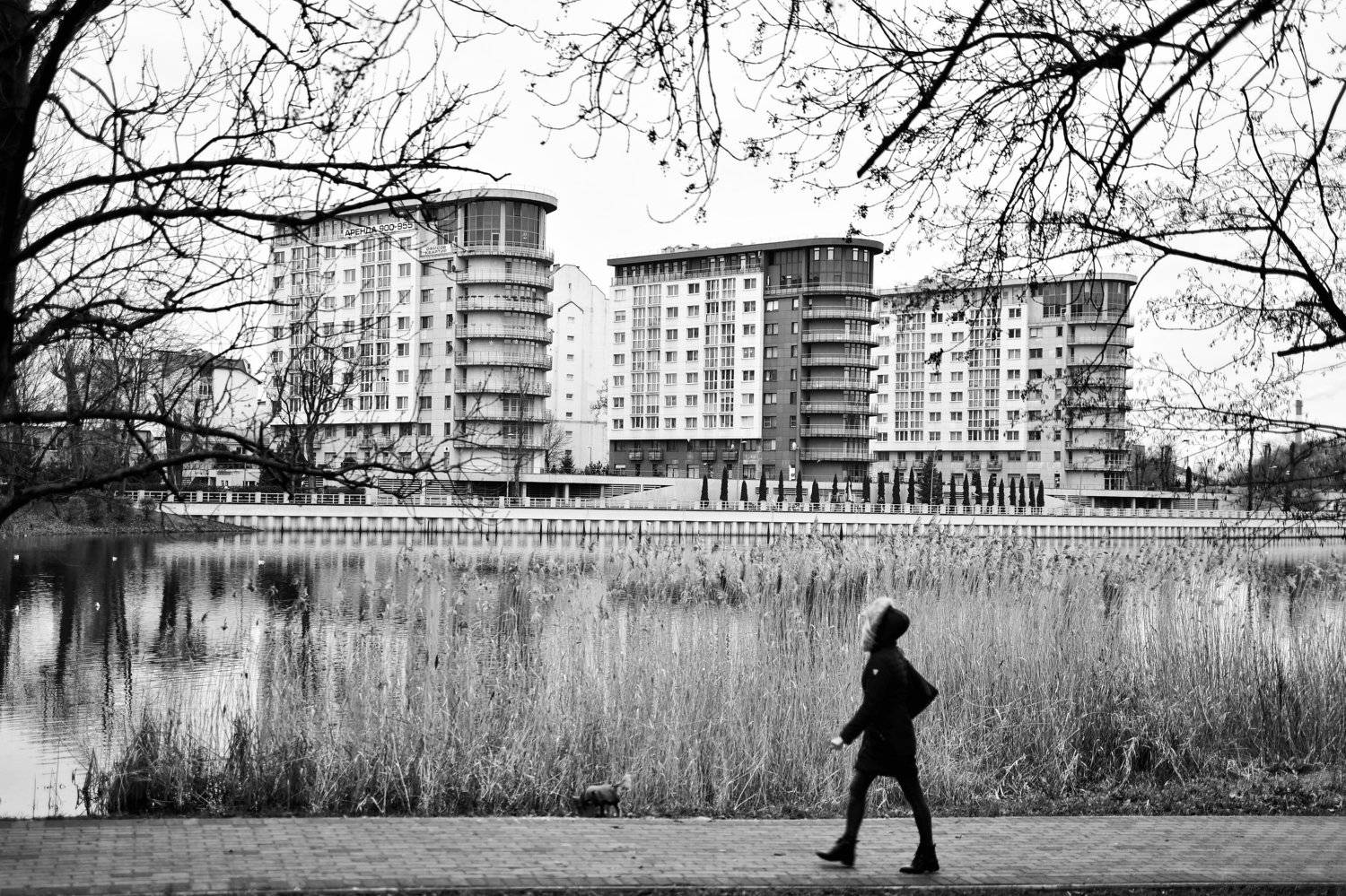 , Владимир Леликов-Кузьменко