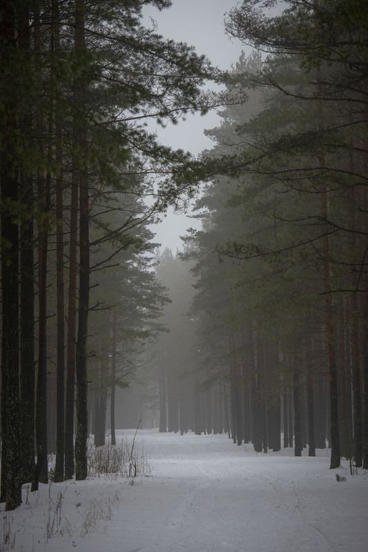 Тихая дымка фото превью