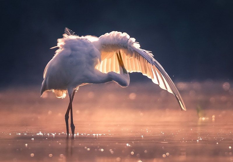 Марфа фото превью