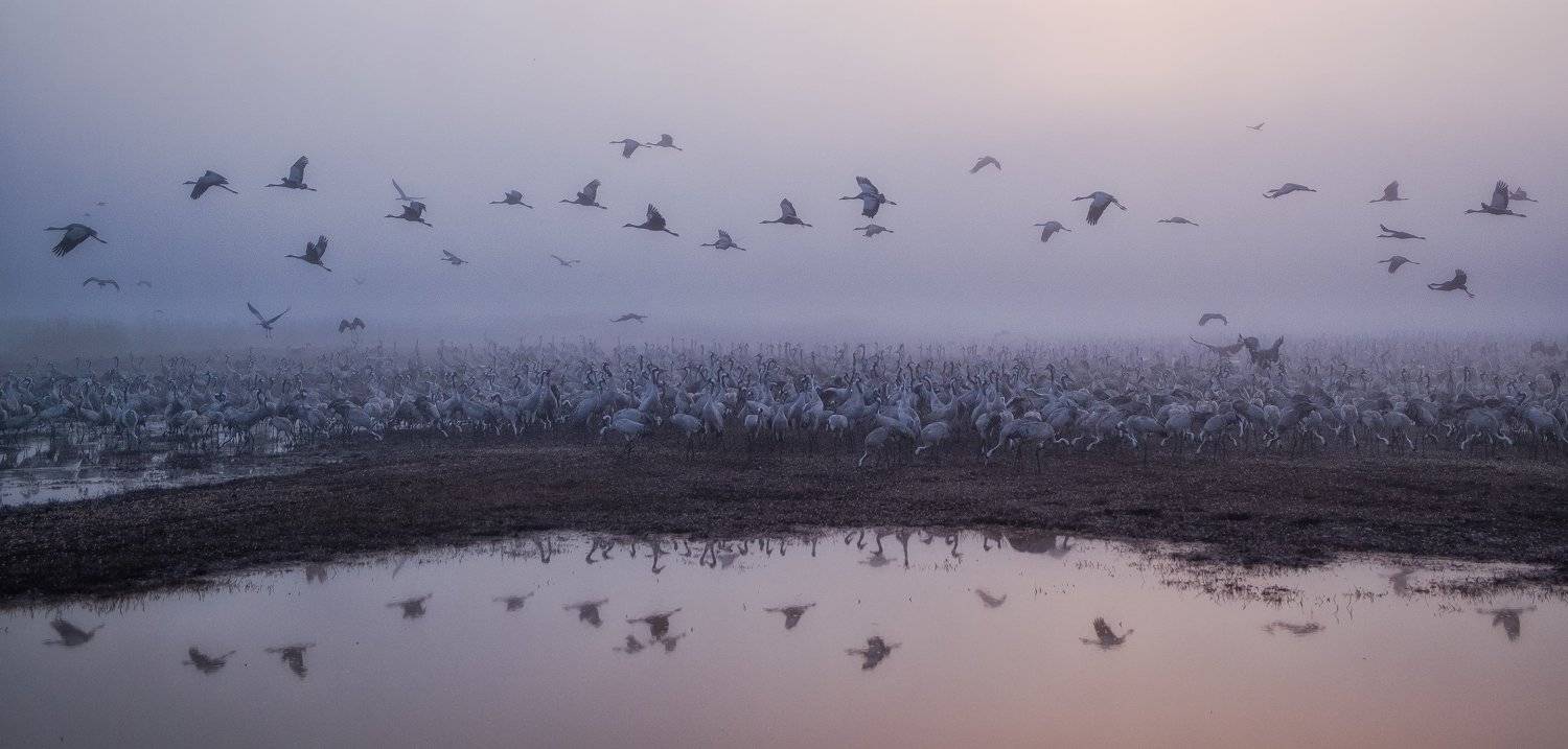 , Григорий Крамаренко