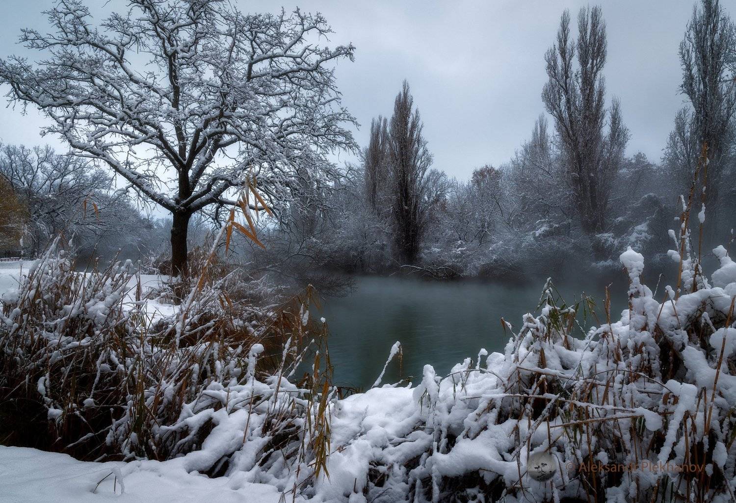 , Alexander Plekhanov