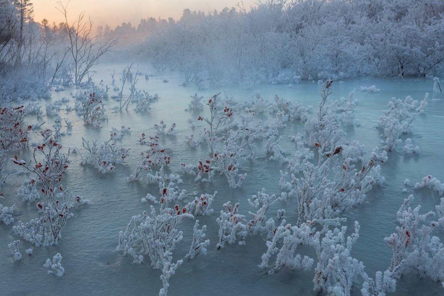 , Комеров Роман