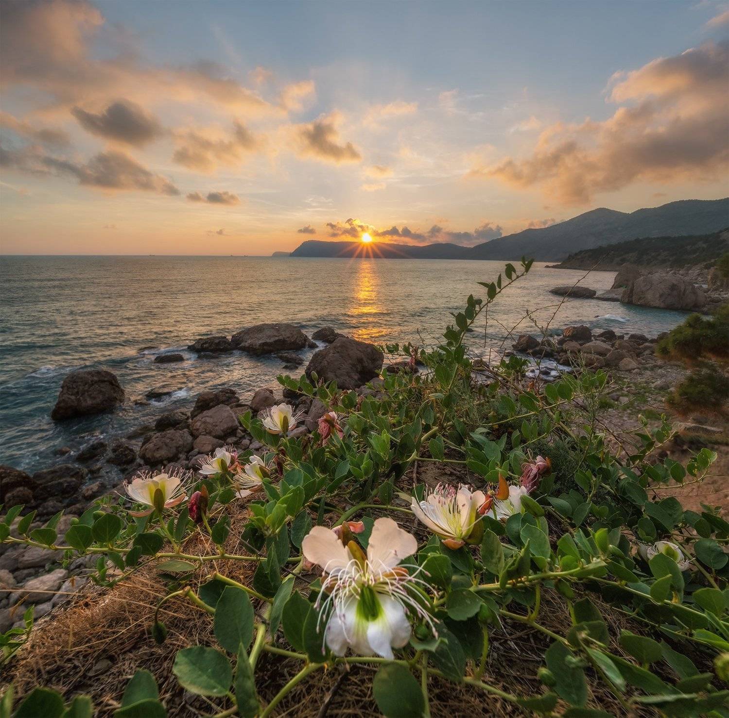 крым, балаклава, мыс айя, пляж инжир, закат, лето, Николай Мысливцев