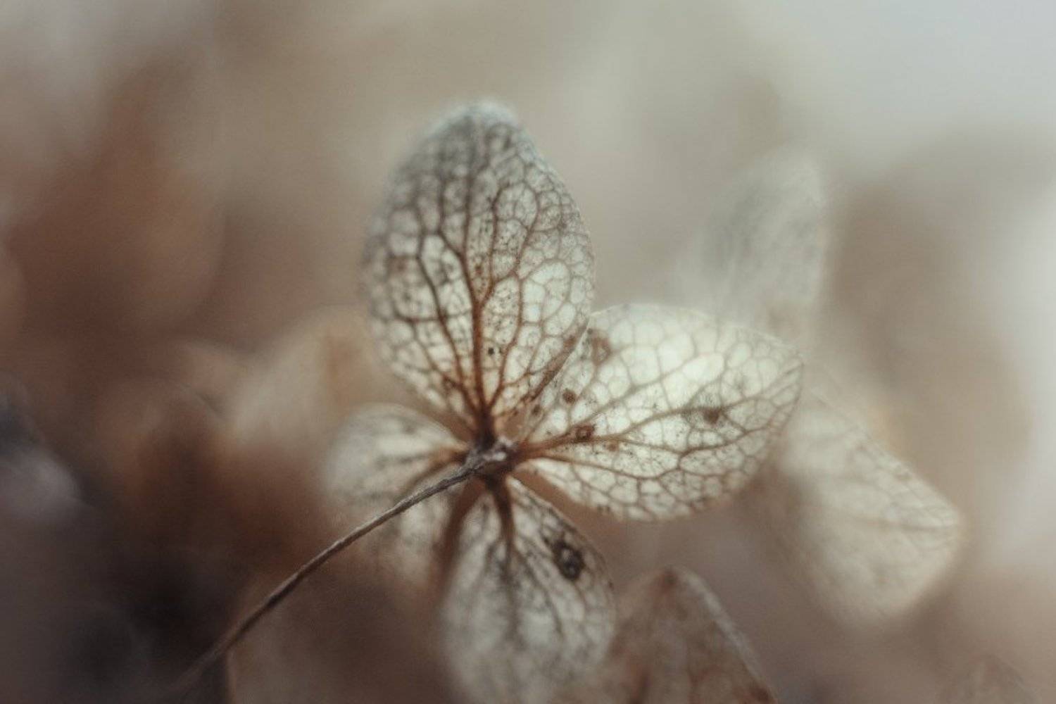 , Марина Бондарь