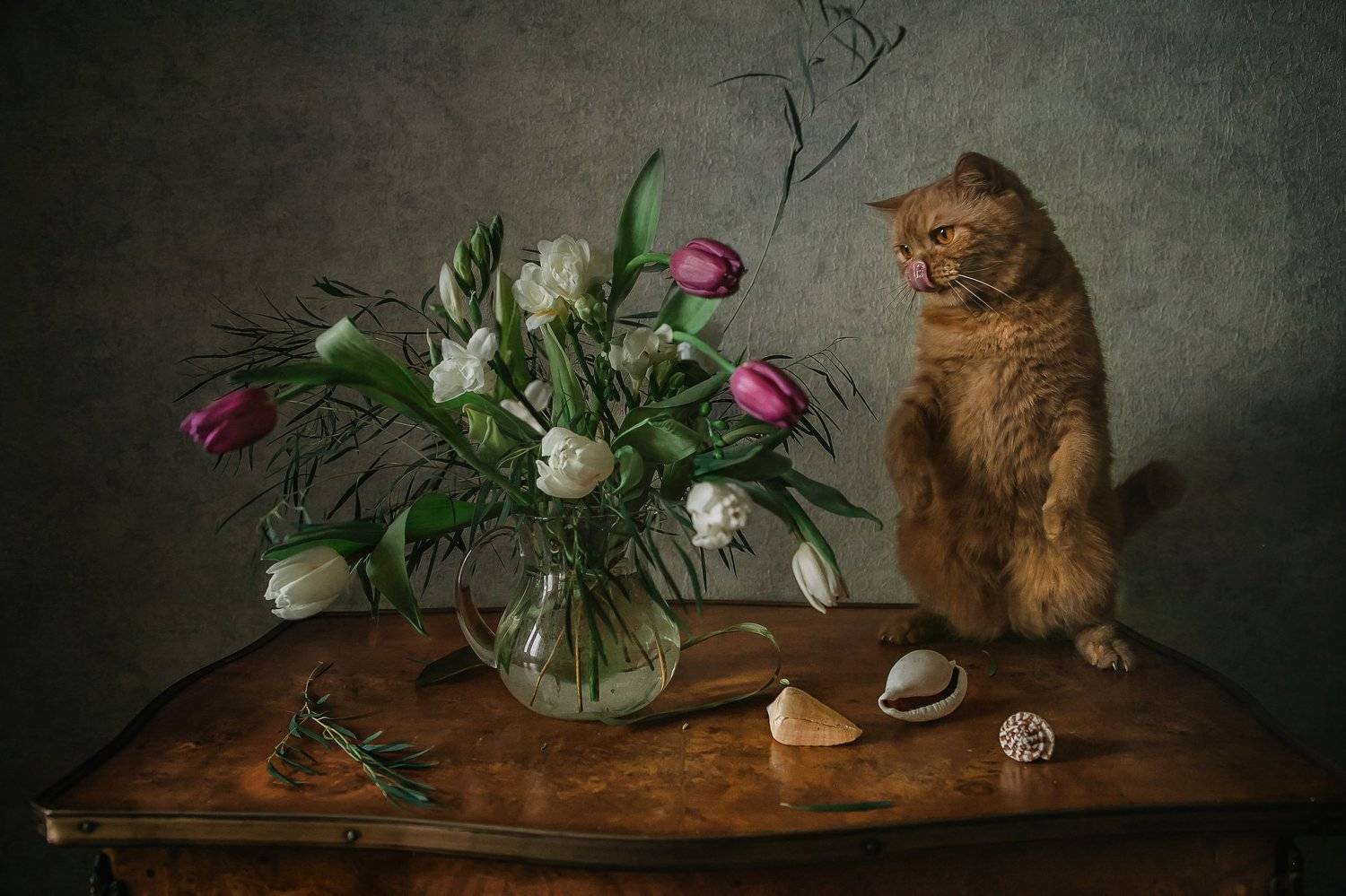 натюрморт, кот, цветы, ракушки, Анна Петина