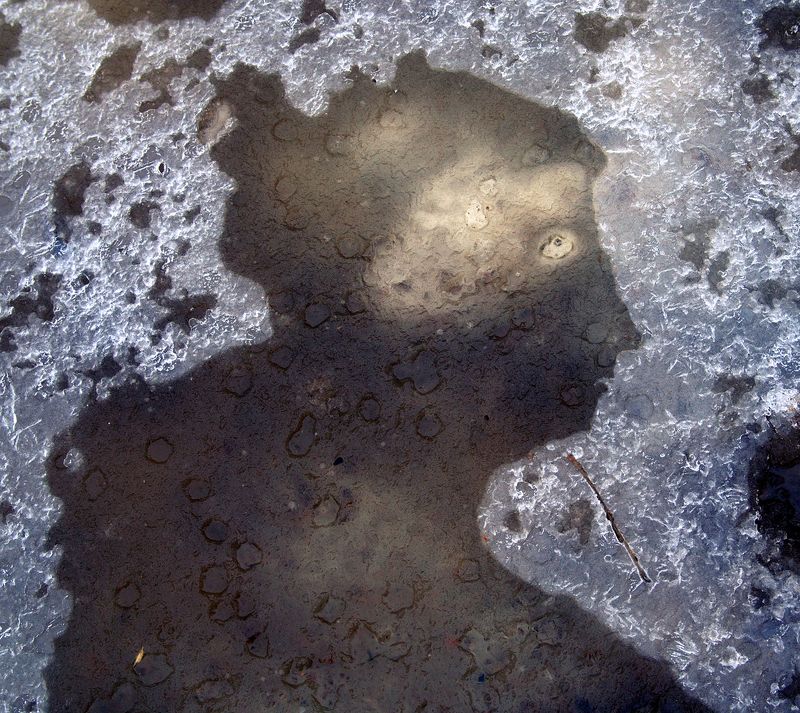 pareidolia *** фото превью