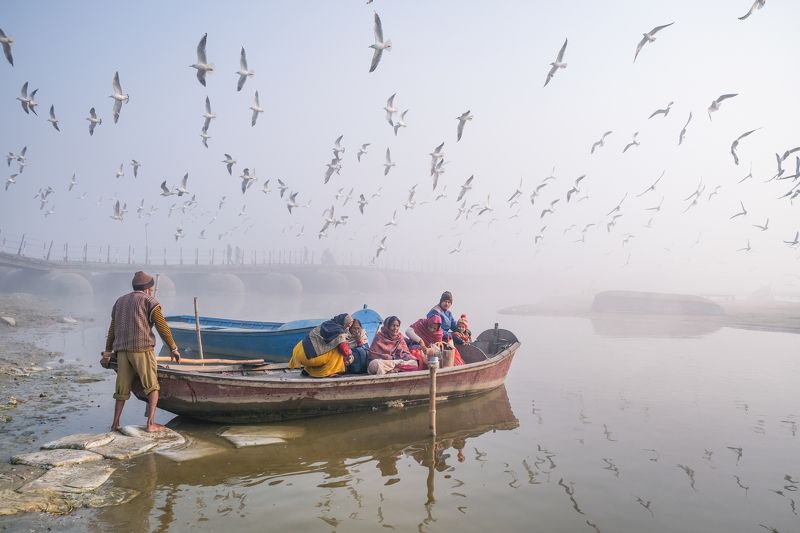 fly, birds, boats Life is a journey not a destination. фото превью