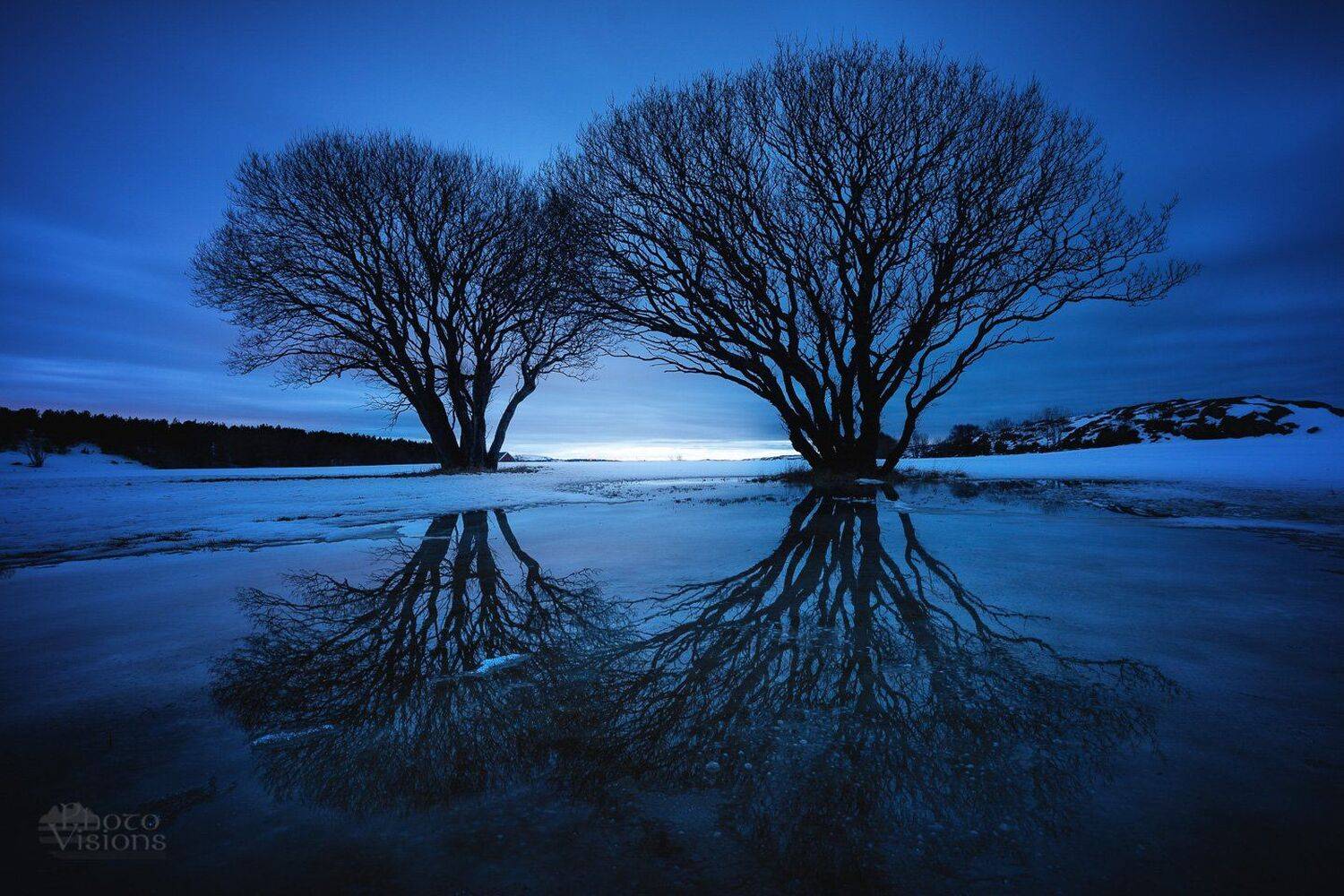 norway,trees,night,light,reflections,symmetry,long exposure, Adrian Szatewicz