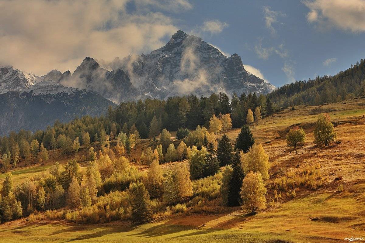 swiss, Матвеев Николай