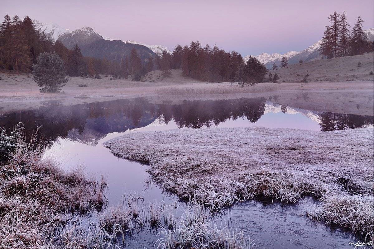 swiss, Матвеев Николай