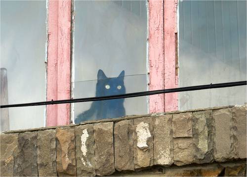 Эти глаза напротив