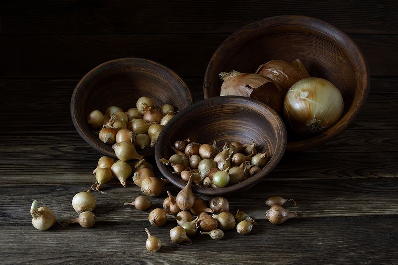 Скоро посевная. фото превью