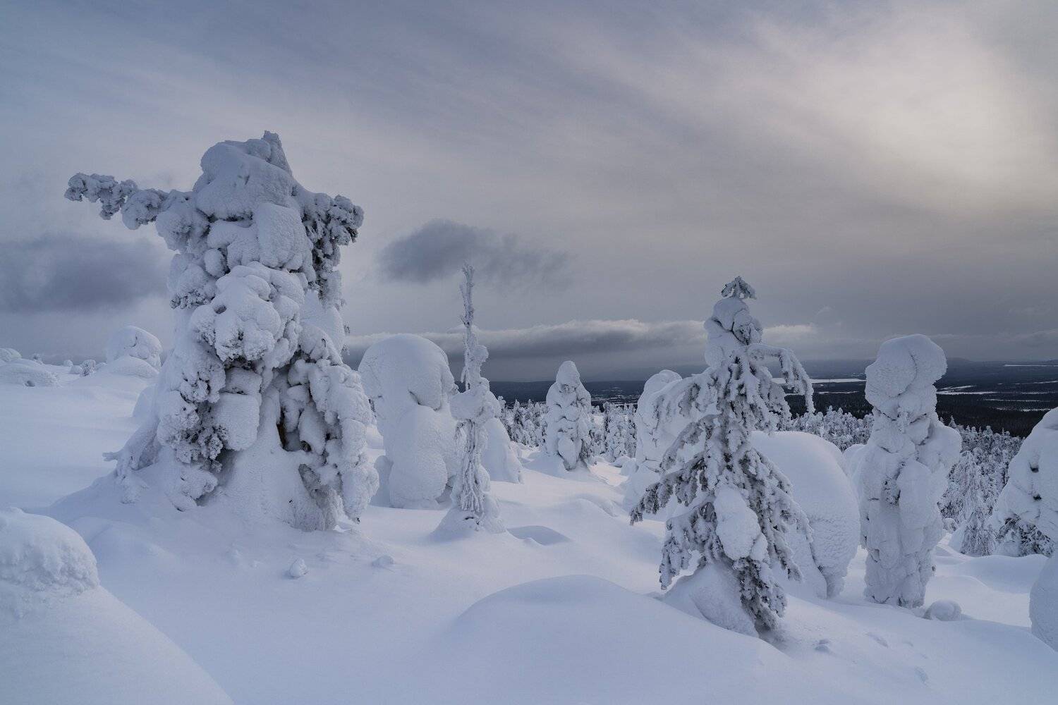 , Юлия Шумляева